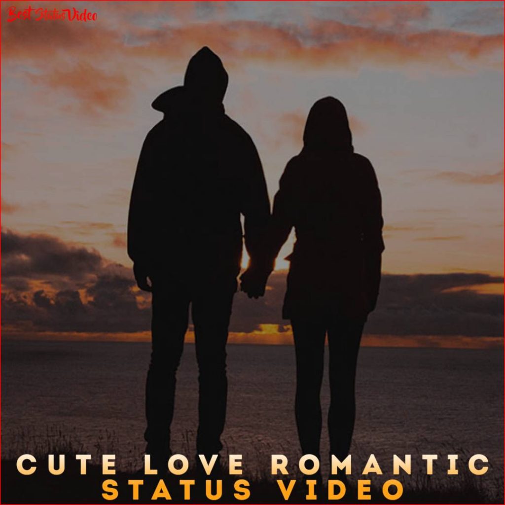 Cute Love Romantic Status Video