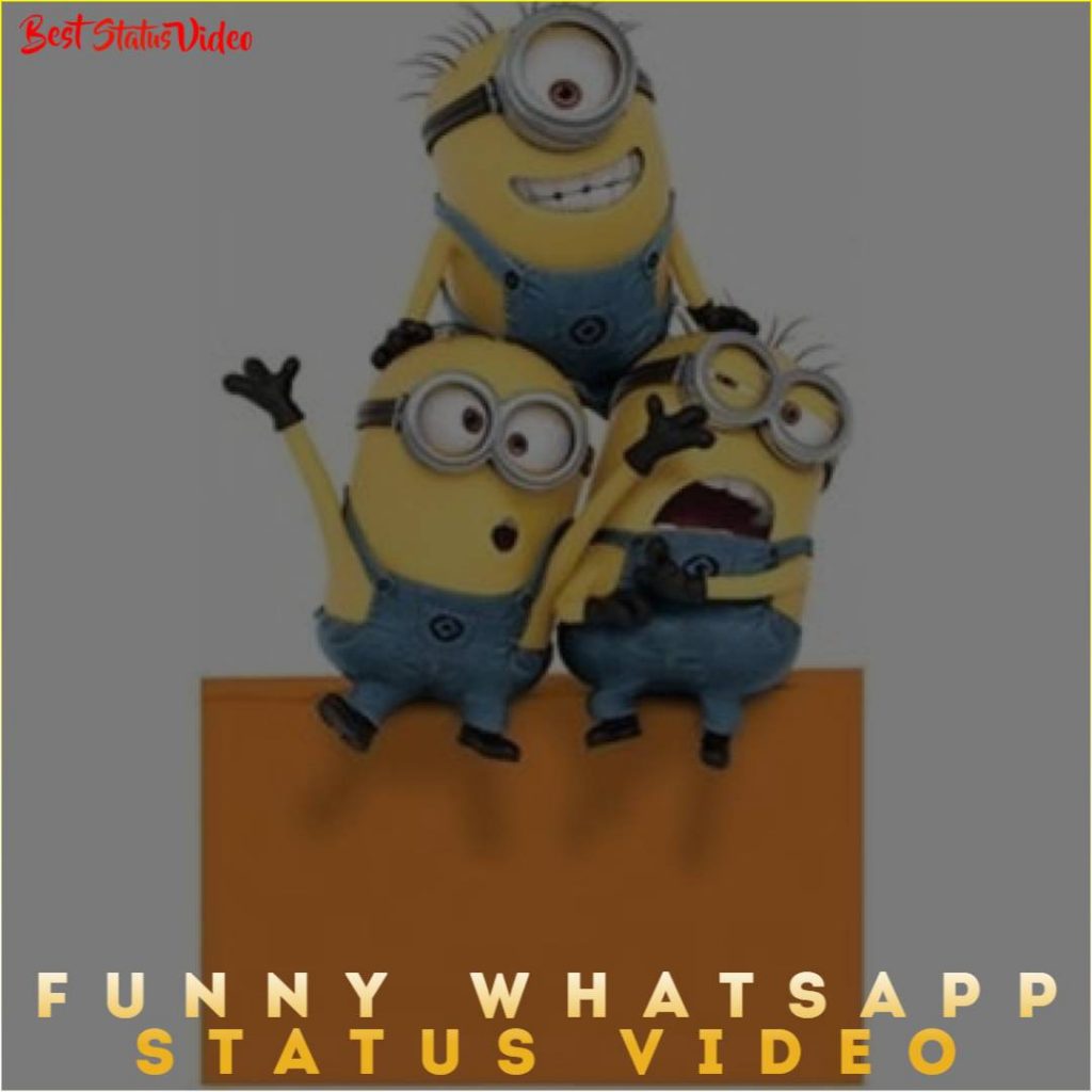 Funny Whatsapp Status Video