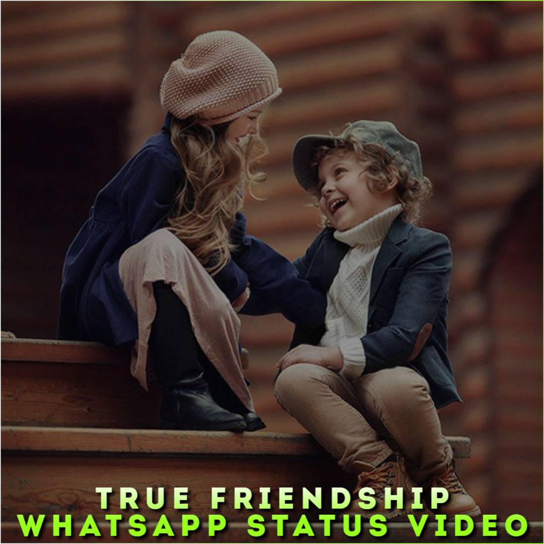 True Friendship Whatsapp Status Video