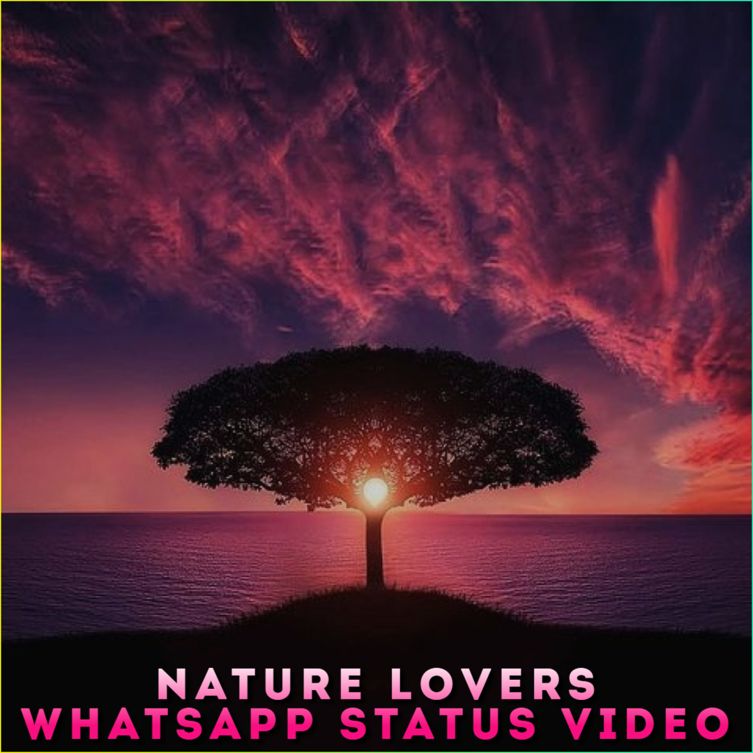 Nature Lovers Whatsapp Status Video