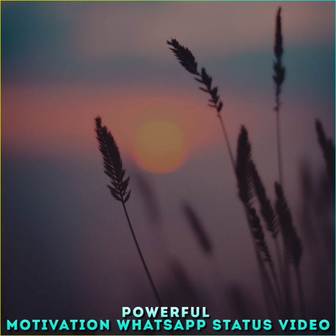 Powerful Motivation Whatsapp Status Video