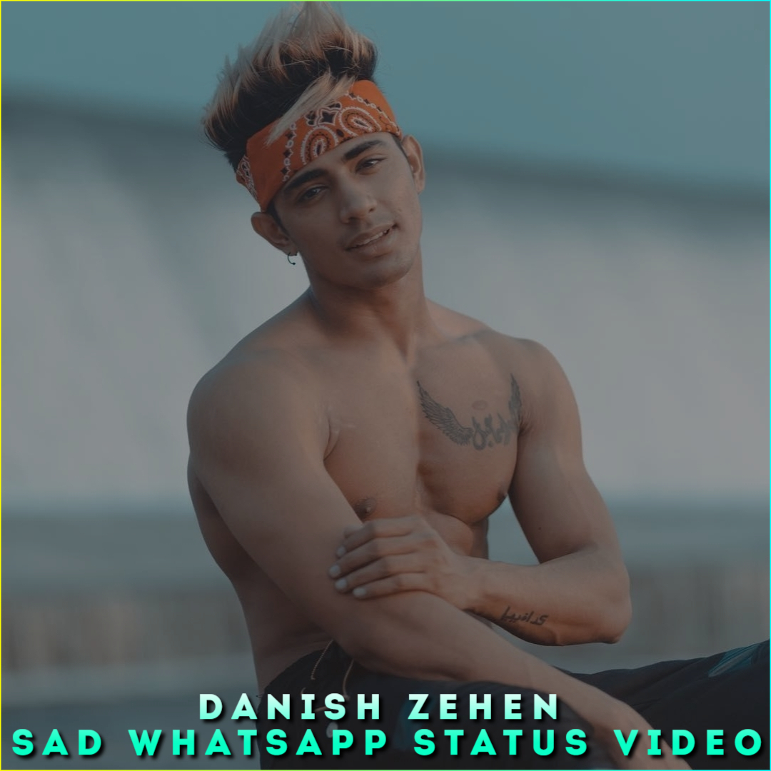 Danish Zehen Sad Whatsapp Status Video