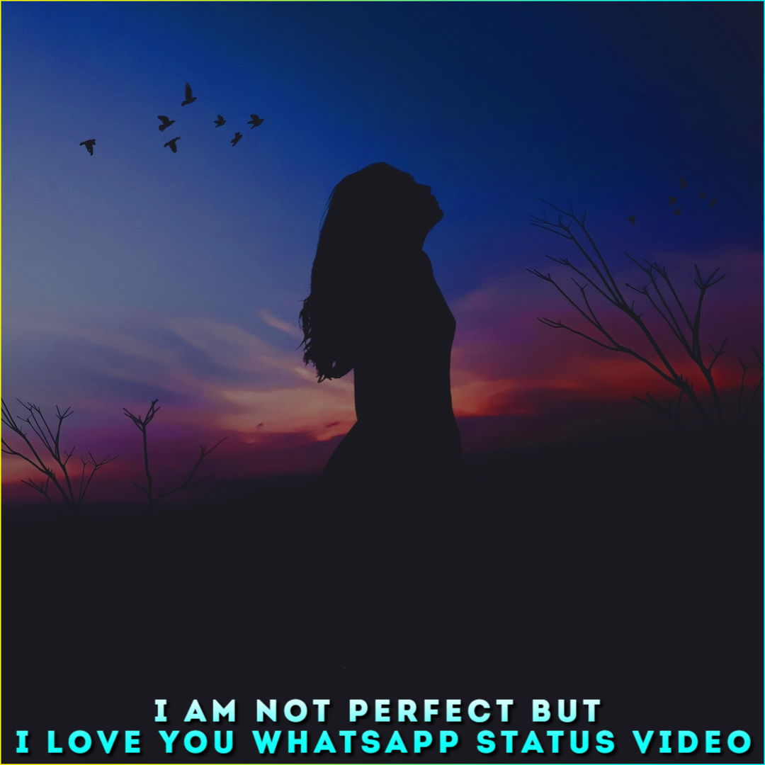 I Am Not Perfect But I Love You Whatsapp Status Video