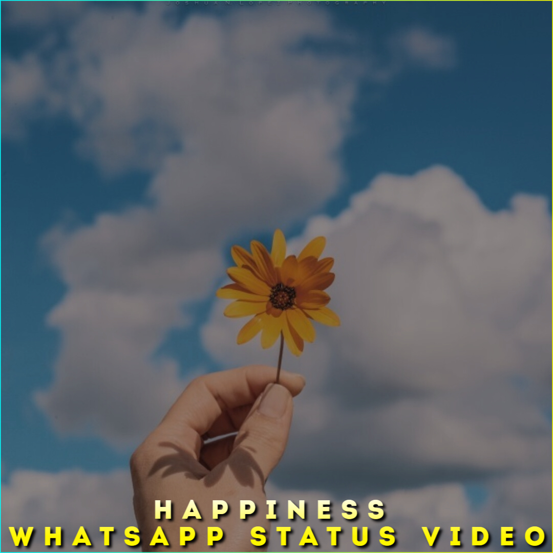 Happiness Whatsapp Status Video