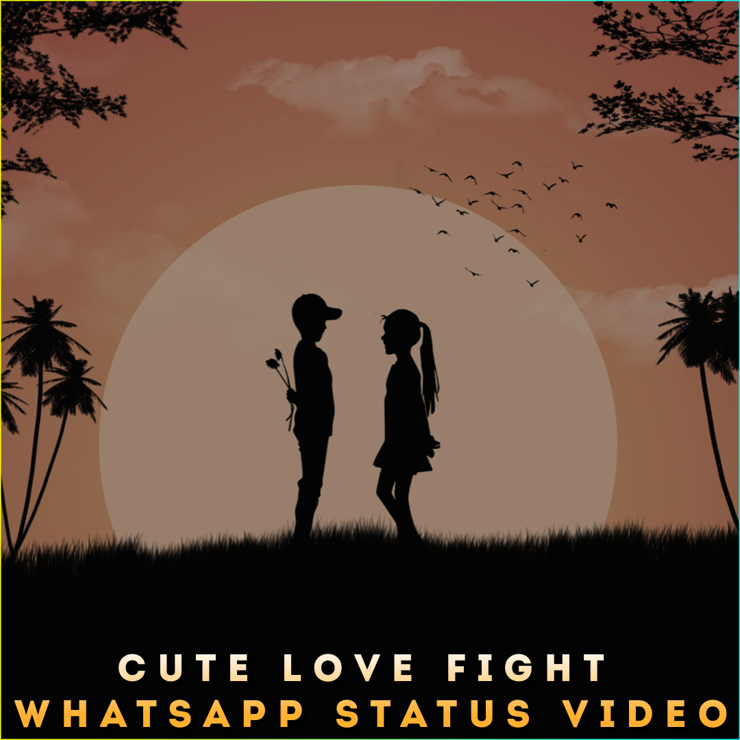 Cute Love Fight Whatsapp Status Video