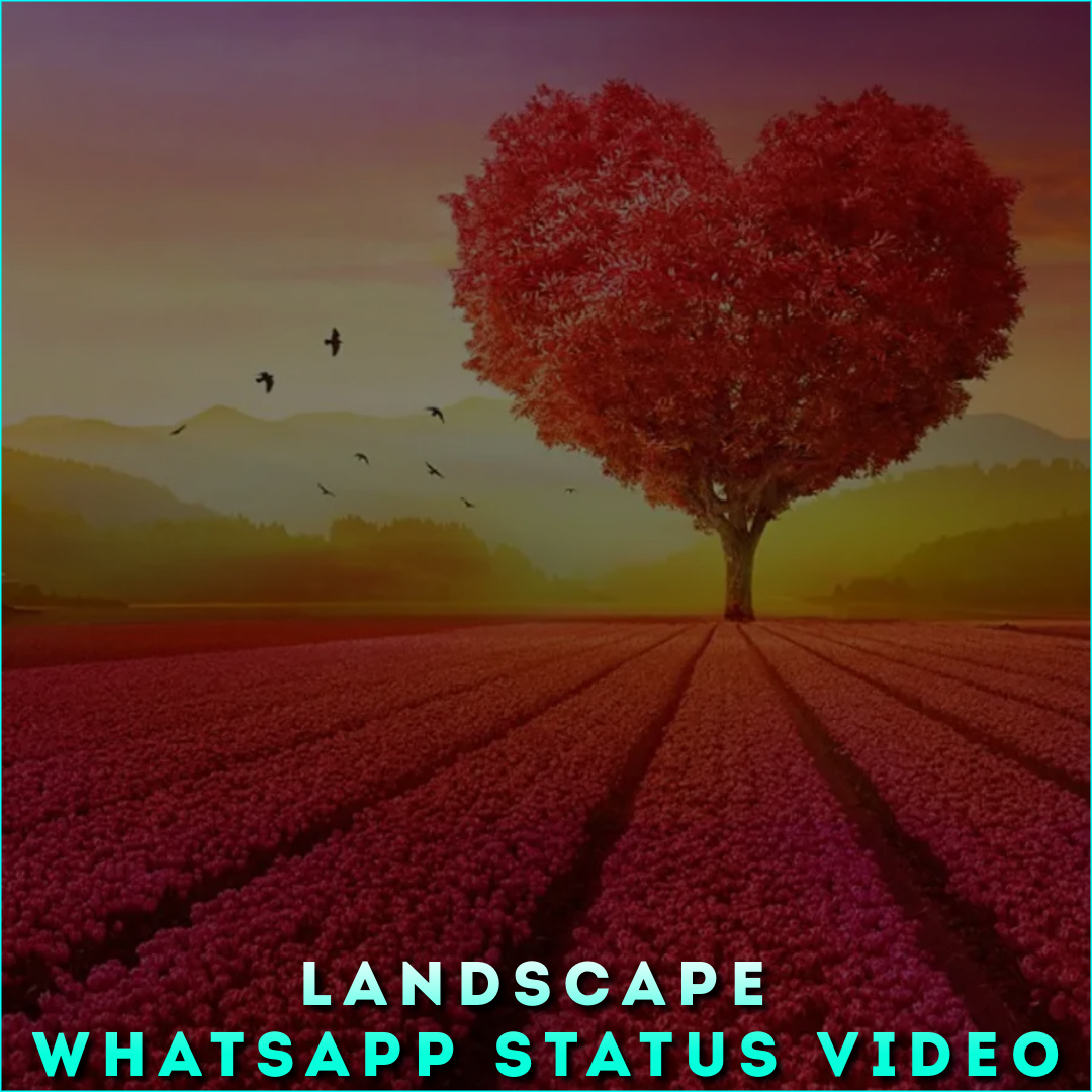 Landscape Whatsapp Status Video