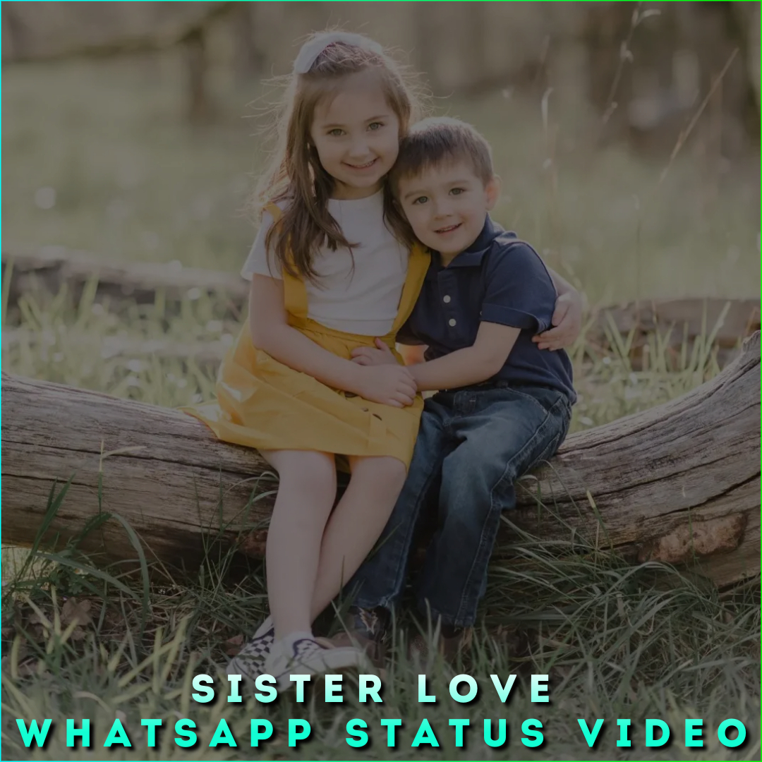 Sister Love Whatsapp Status Video