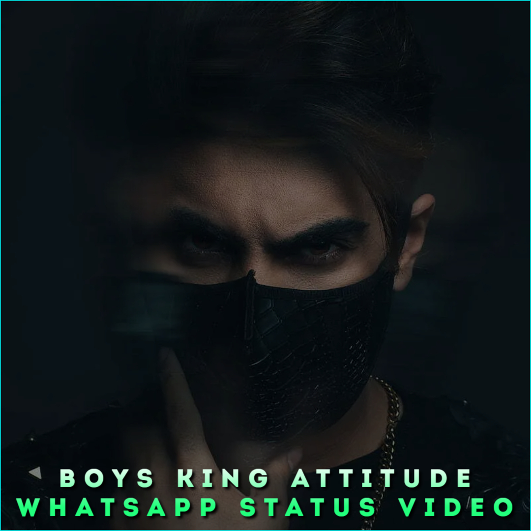 Boys King Attitude Whatsapp Status Video