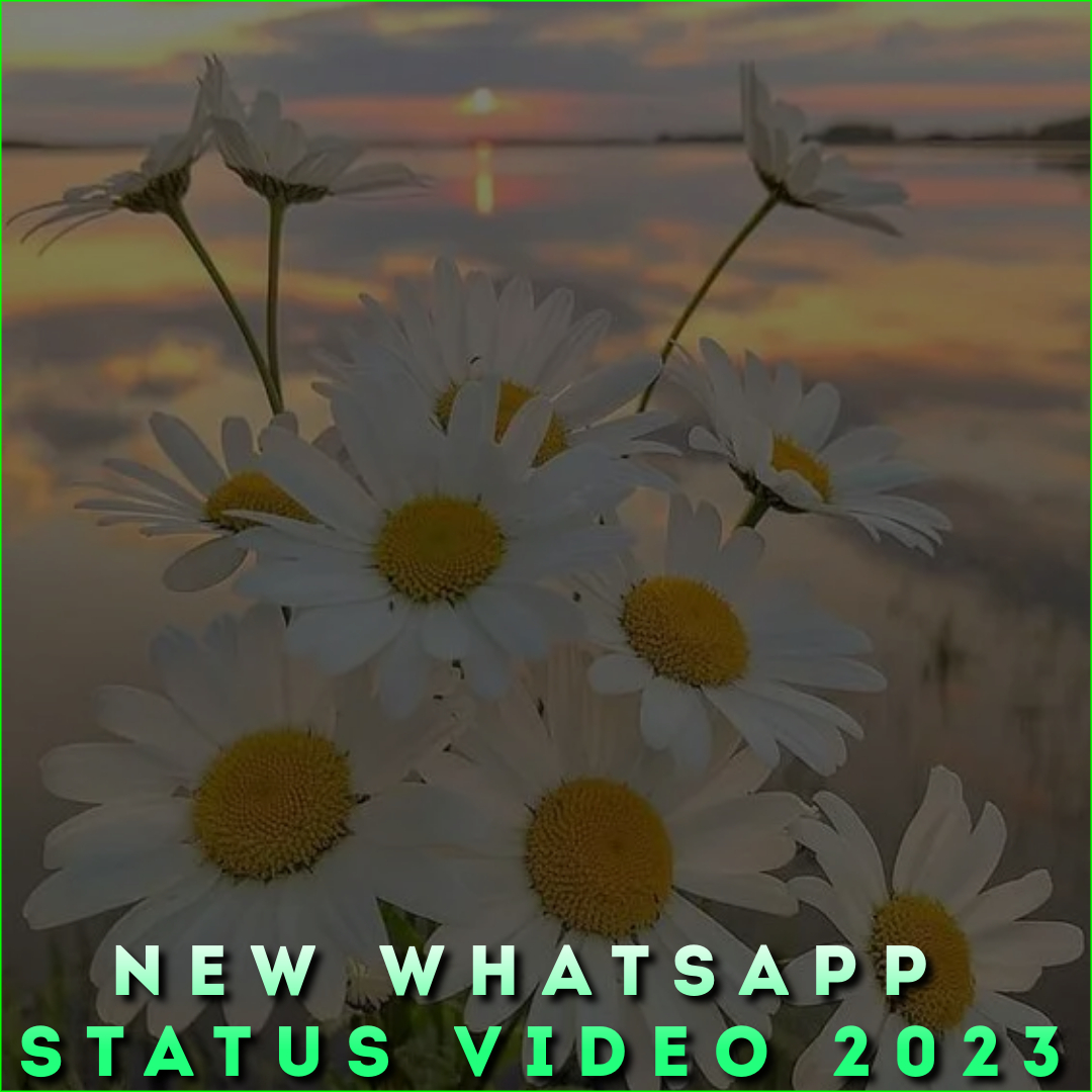 New Whatsapp Status Video 2023