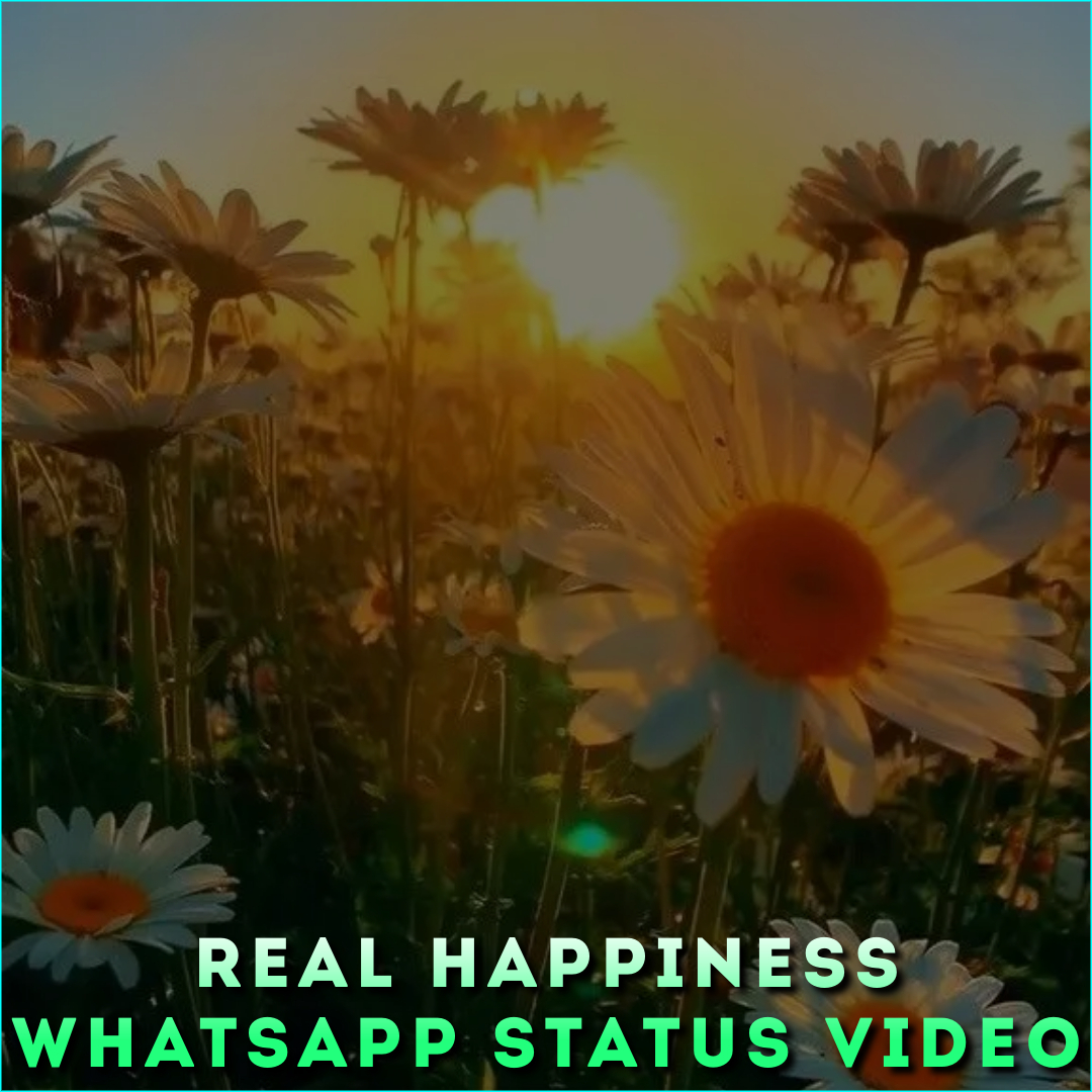 Real Happiness Whatsapp Status Video