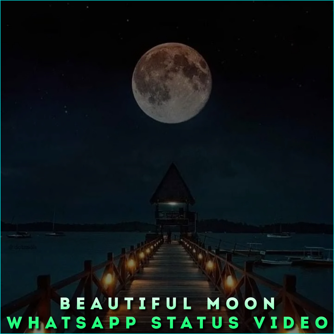 Beautiful Moon Whatsapp Status Video