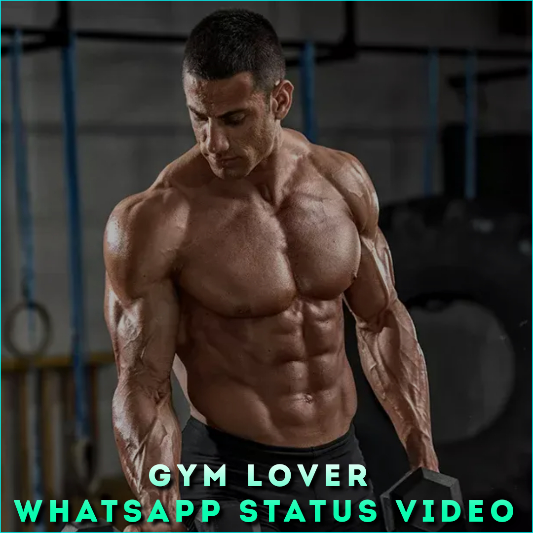 Gym Lover Whatsapp Status Video