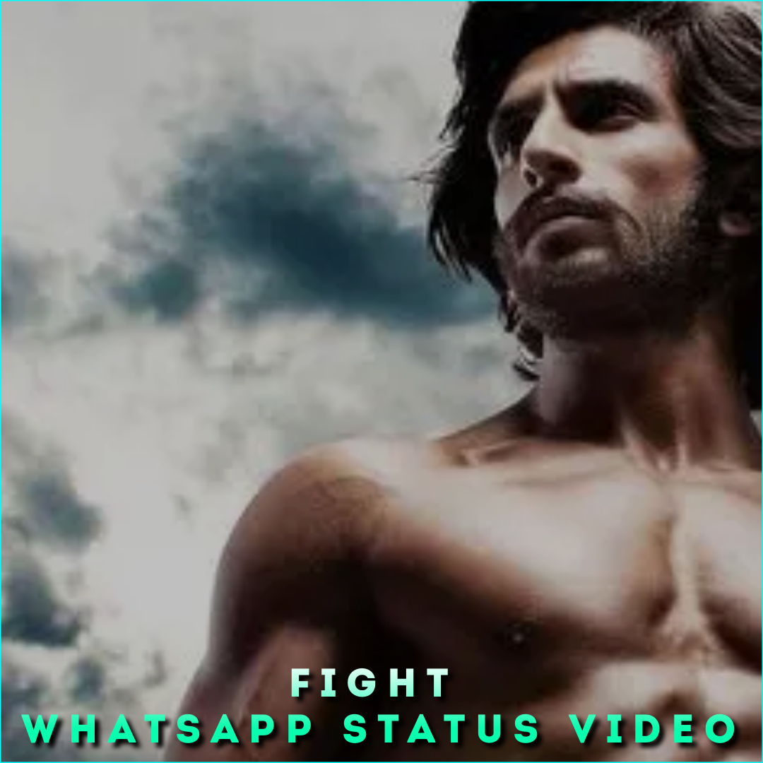 Fight Whatsapp Status Video