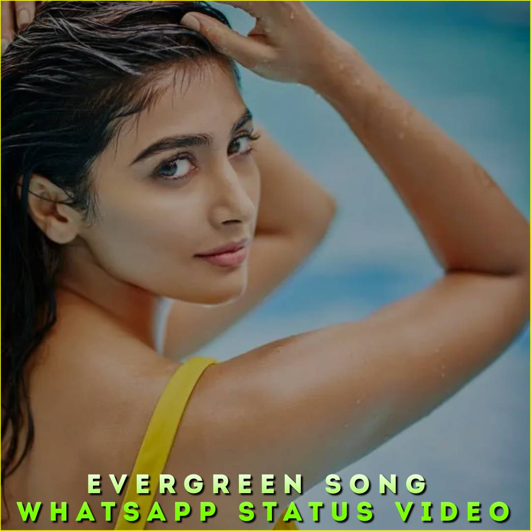 Evergreen Song Whatsapp Status Video