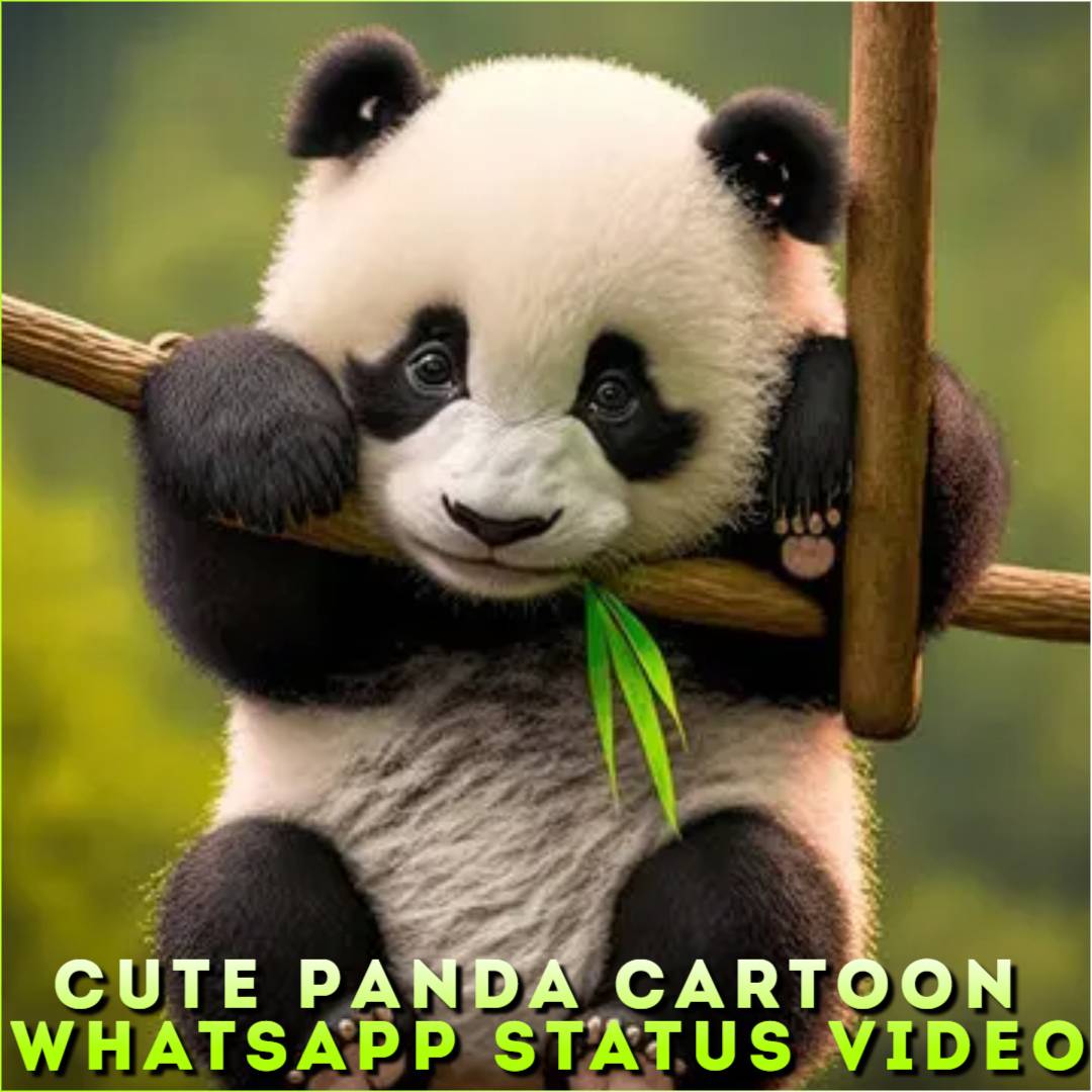 Cute Panda Cartoon Whatsapp Status Video