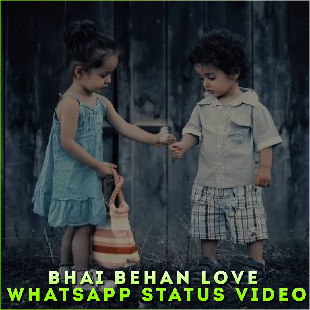 Bhai Behan Love Whatsapp Status Video