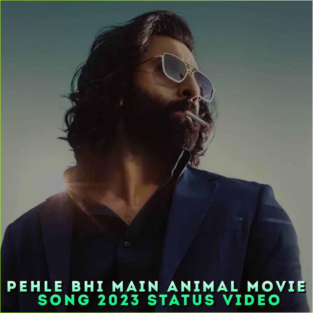 Pehle Bhi Main Animal Movie Song 2023 Status Video