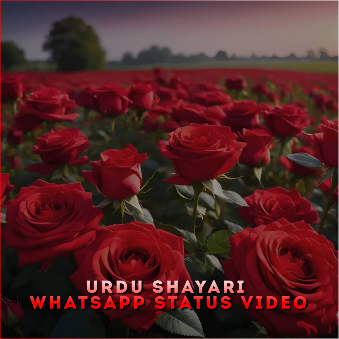 Urdu Shayari Whatsapp Status Video