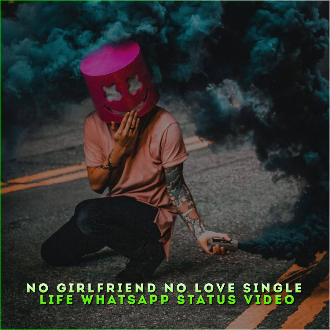 No Girlfriend No Love Single Life Whatsapp Status Video